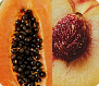 Papaya & Peach